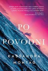 kniha Po povodni, HarperCollins Polska 2019