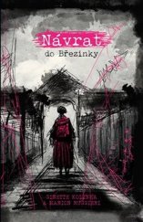 kniha Návrat do Březinky, No Limits 2023