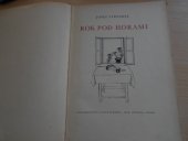 kniha Rok pod horami, Josef Lukasík 1945