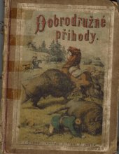 kniha Dobrodružné příhody v dalekých krajinách sbírka povídek pro dospělejší mládež, František Řivnáč 1880