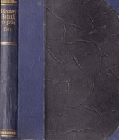 kniha Božská dvojčátka, B. Kočí 1925