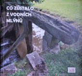 kniha Co zůstalo z vodních mlýnů 1., Přemyslovské střední Čechy 2013