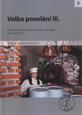 kniha Volba povolání III. [přípravy do hodin Výchovy volby k povolání na 2. stupni ZŠ, Raabe 