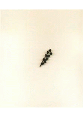 kniha Markéta Othová, MAKUM 2010