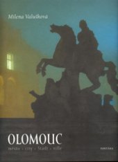 kniha Olomouc město = city = Stadt = ville, Fontána 2005