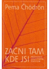 kniha Začni tam, kde jsi průvodce soucitným životem, Šťastní lidé 2004