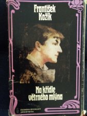 kniha Na křídle větrného mlýna Životní příběh malířky Zdenky Braunerové a lidí kolem ní, Československý spisovatel 1981