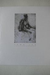 kniha Téma Job z díla Jiřího Sozanského : Severočeská galerie výtvarného umění v Litoměřicích, 18. srpna - 25. září 2005, Severočeská galerie výtvarného umění 2005