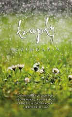 kniha Kvapky požehnania, Kumran 2015