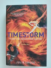 kniha Timestorm A Tempest Novel, Thomas Dunne Books 2014