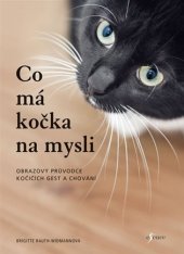 kniha Co má kočka na mysli obrazový průvodce kočičích gest a chování, Esence 2018