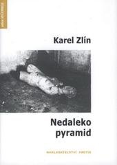 kniha Nedaleko pyramid, Protis 2008