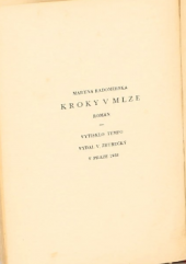 kniha Kroky v mlze román, Vladimír Zrubecký 1938