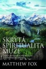 kniha Skrytá spiritualita muže deset metafor k probuzení zasvěcené mužnosti, Synergie 2014