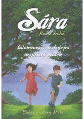 kniha Sára 2 o věčném přátelství dvou blízkých duší, Synergie 2013