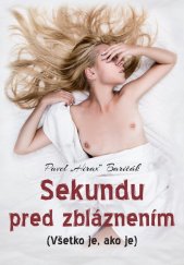 kniha Sekundu pred zbláznením Všetko je, ako je, Hladohlas 2015