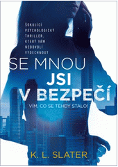 kniha Se mnou jsi v bezpečí, Mystery Press 2018