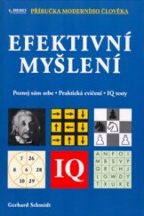 kniha Efektivní myšlení poznej sám sebe, praktická cvičení, IQ testy, Rebo 2005