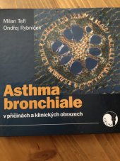 kniha Asthma bronchiale v příčinách a klinických obrazech, Geum 2006
