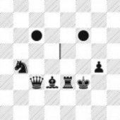 kniha Tichý mat šachy v kresleném humoru, Pražská šachová společnost 2009