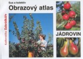 kniha Obrazový atlas jádrovin novější a vybrané starší odrůdy jabloní a hrušní, Květ 2000