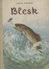 kniha Blesk, SNDK 1958