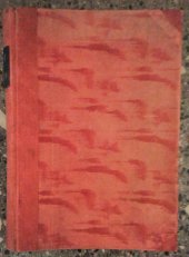 kniha Příhody z malé garnisony troška vojenského koření, Za svobodu 1928