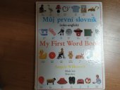 kniha Můj první slovník česko-anglický, Mladé letá 1993