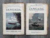 kniha Jangada osm set mil na řece Amazonce, Nákladem knihtiskárny Aloise R. Lauermanna 1883