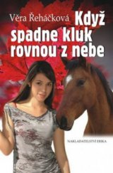 kniha Když spadne kluk rovnou z nebe dívčí román, Erika 2010