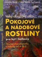 kniha Pokojové a nádobové rostliny pro byt i balkony velký obrazový atlas : stručné charakteristiky a tabulky od A do Z, Knižní klub 2007