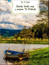 kniha Zápisky starého muže z penzionu U Přehrady, Repronis 2017