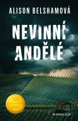 kniha Nevinní andělé , Kniha Zlín 2025
