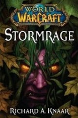 kniha World of WarCraft 7. - Stormrage, Fantom Print 2013