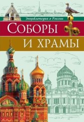 kniha Sobory i chramy, Prof Pres 2018