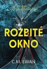 kniha Rozbité okno, OLDAG 2020