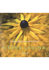 kniha Něžná lavina OOXX, Čintámani 2009