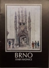 kniha Brno Stará radnice, Park kultury a oddechu 1988