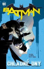 kniha Batman Chladné dny, Crew 2021