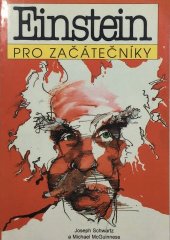 kniha Einstein pro začátečníky, Ando 1996