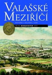 kniha Valašské Meziříčí Historie / kultura / lidé, Lidové noviny 2017