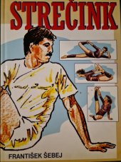 kniha Strečink, Timy 2001