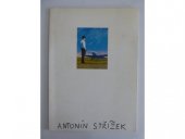 kniha Antonín Střížek [katalog, KANT 1997