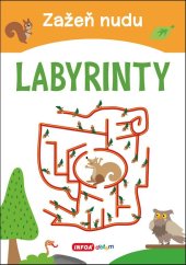 kniha Zažeň nudu Labyrinty, INFOA 2020