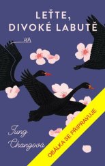 kniha Leťte, divoké labutě, Ikar 2026
