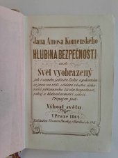 kniha Hlubina bezpečnosti aneb Svět vyobrazený jak v samém jediném Bohu. Připojen jest Výhost světu, Vincenc Paseka 1864