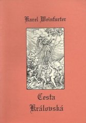 kniha Cesta královská (zlatá brána k mystice), Psyché 1991