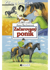 kniha Začarovaný poník, Fragment 2007