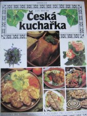kniha Česká kuchařka Kuchařka pro každou domácnost, Merkur 1993