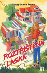 kniha Roztříštěná láska, CooBoo 2024